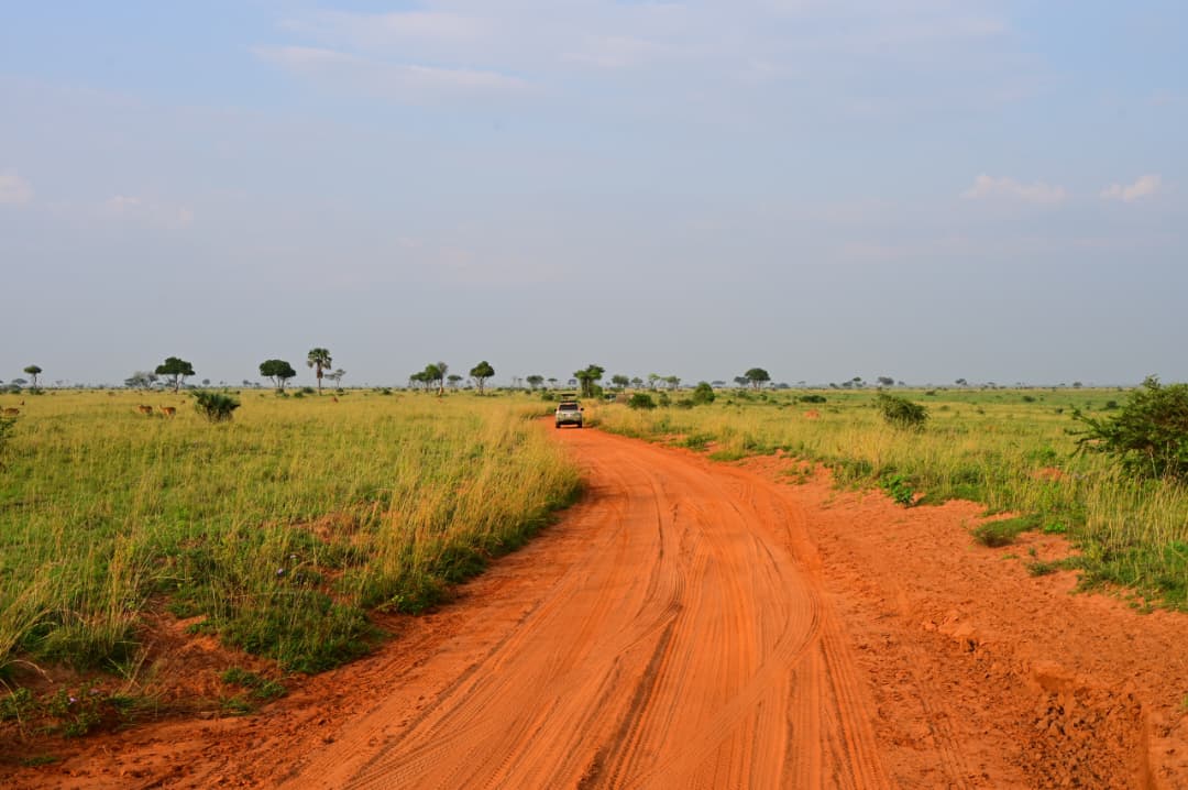 Strada di terra rossa nella savana ugandese